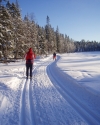 Alberta Ski Areas Guide